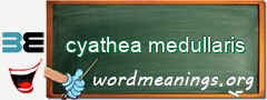 WordMeaning blackboard for cyathea medullaris